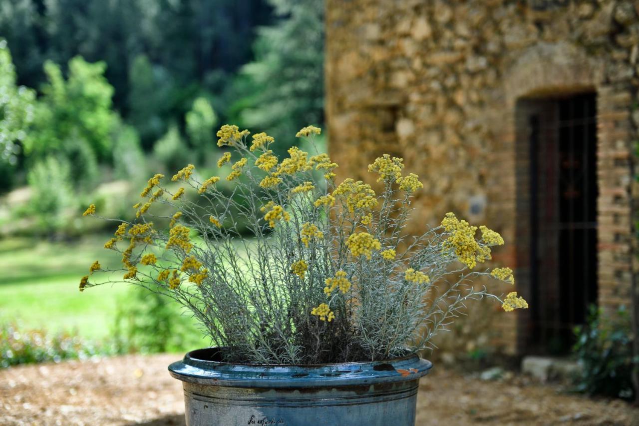 Les Jardins De Falguiere Saint-Jean-du-Gard Exterior foto