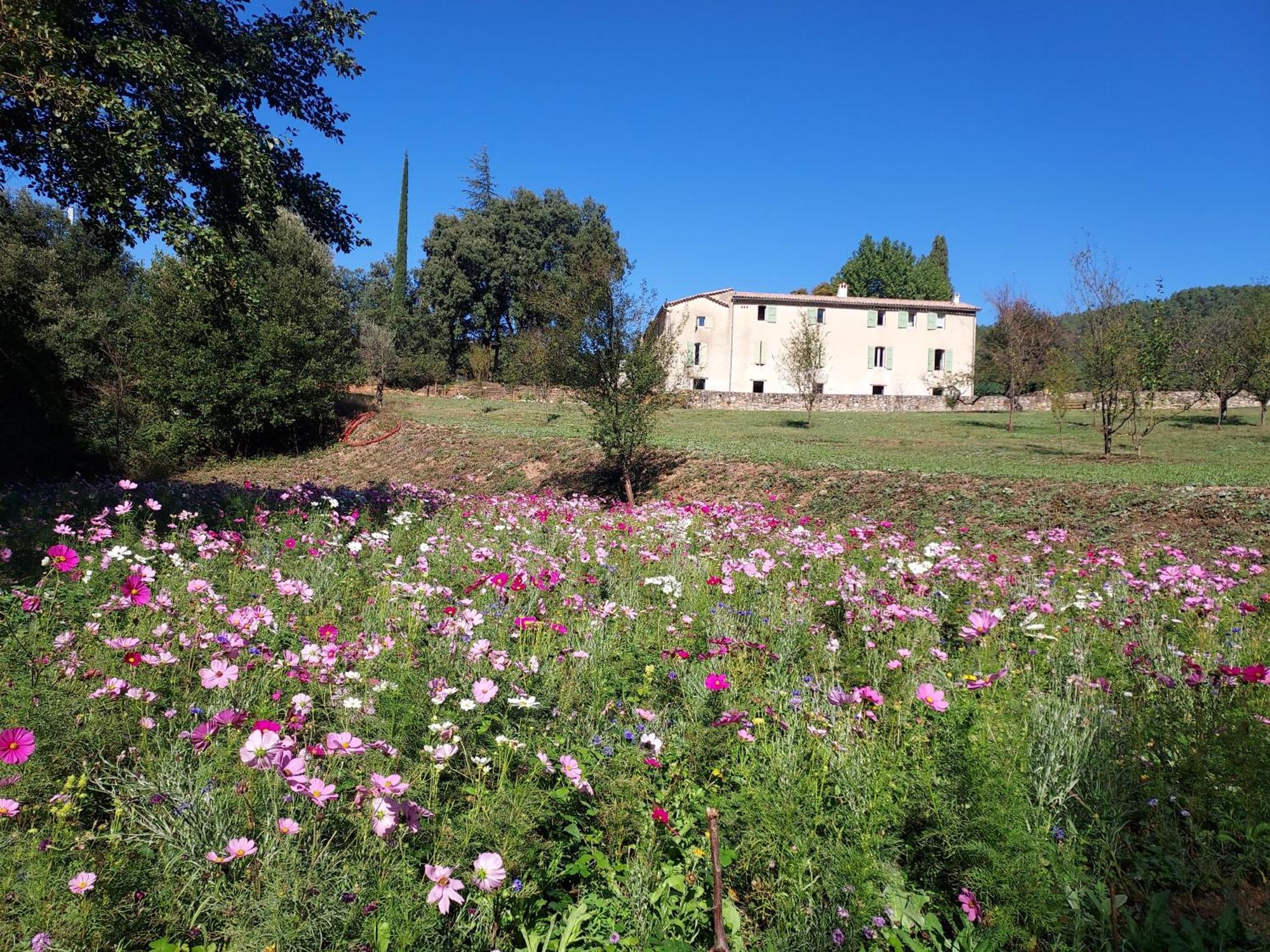 Les Jardins De Falguiere Saint-Jean-du-Gard Exterior foto